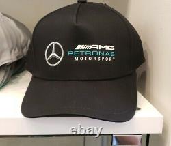 F1 Mercedes-amg Petronas Camu Lewis Special Edition 2019-20 USA Dealer