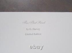 G. Harvey Ties That Bind Focus on the Family 1998 SPECIAL EDITION PRINT, NEW