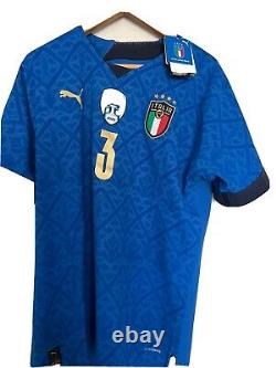 Italy Player Issue Special Edition Ultraweave shirt