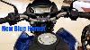 New Honda Hornet 160 Blue Series Special Edition Super Hit Colors View 2020