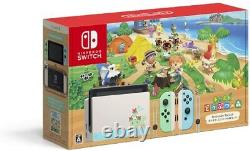 Nintendo Switch Animal Crossing New Horizon Special Edition Japan Domestic F/S