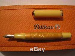 Pelikan Sahara Special Edition Sahara Fountain Pen Medium Pt New In Box