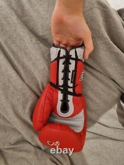 Rival Rs1 Boxing Gloves 20th Anniv Special Edition
