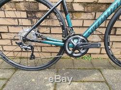 Specialized Tarmac SL6 comp Disc 54cm Sagan LE edition NEW! RRP £3100 NEW